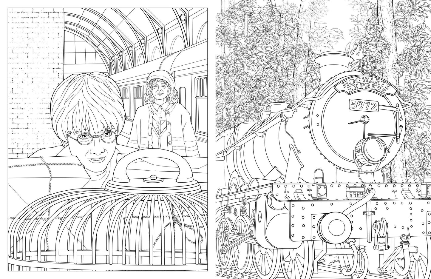 Harry Potter: Travels Through the Wizarding World: An Official Coloring Book